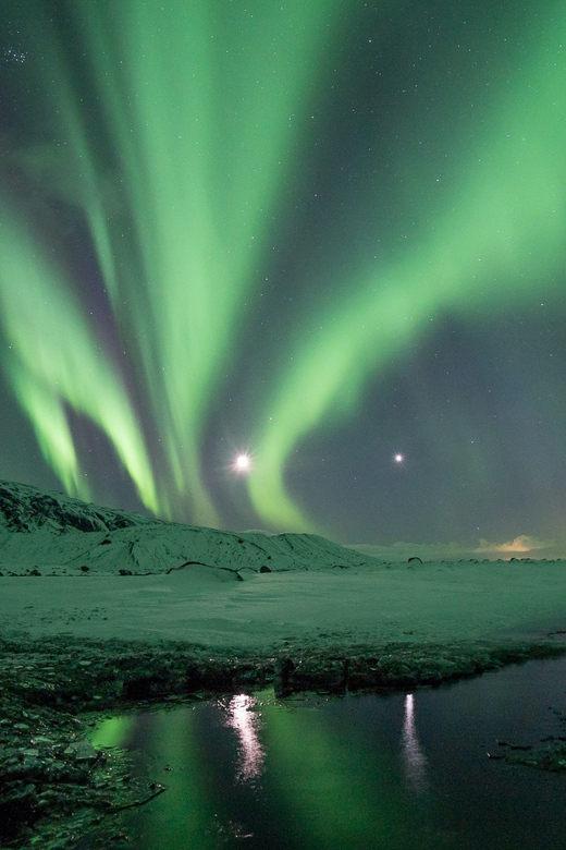Reykjavik: Northern Lights with Icelandic Treats - A minibus ride with real tradeoffs