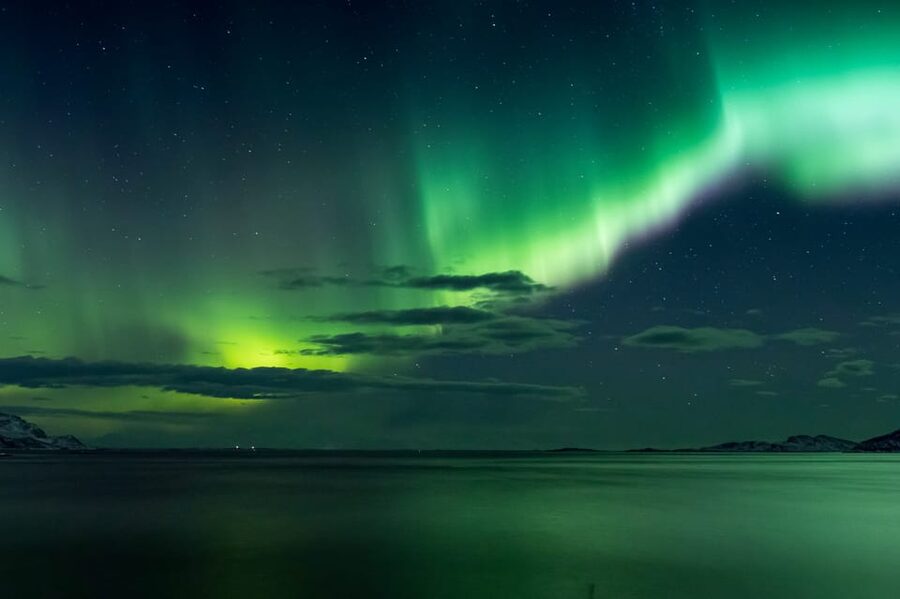 Reykjavik: Northern Lights with Icelandic Treats - Who should book this Reykjavik aurora tour?