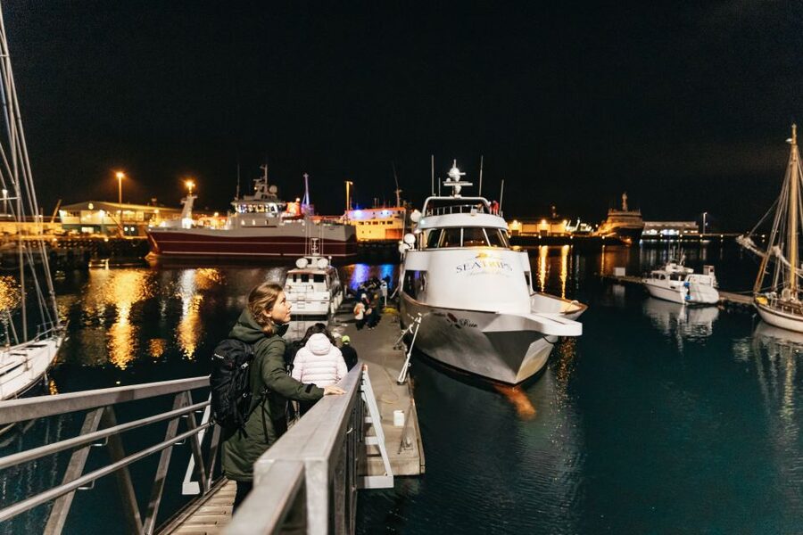 Reykjavik: Northern Lights Yacht Tour - What the guide adds to the night