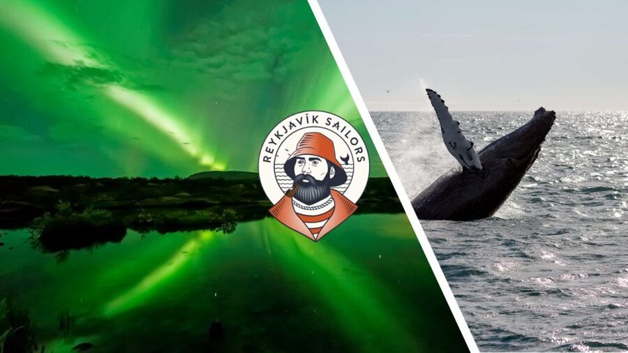 Reykjavik: Whale Watching & Northern Lights Combo Cruise - Key points to know before booking