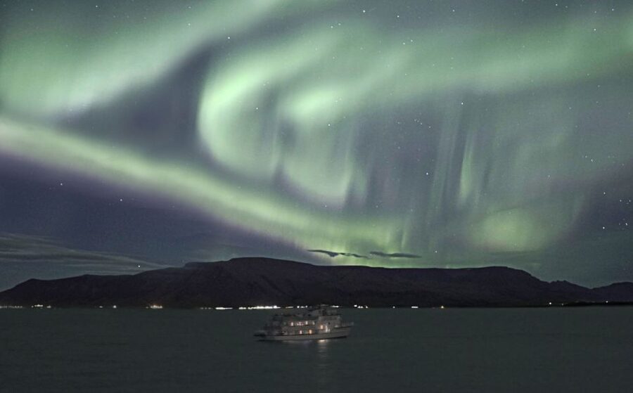 Reykjavik: Whales and Northern Lights Boat Tour - Comfort, guides, and the boat itself