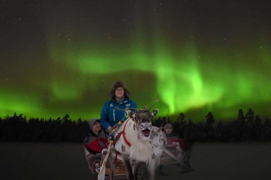 Rovaniemi: 2km Aurora Reindeer Safari Through the Forest - What the evening feels like in the forest