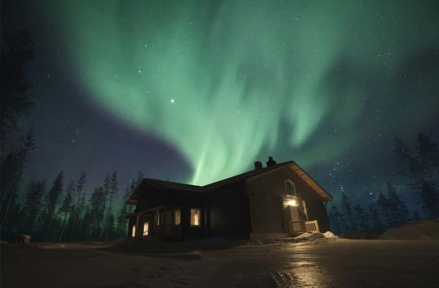 Rovaniemi: 2km Aurora Reindeer Safari Through the Forest - From Rovaniemi hotels to the rural setting