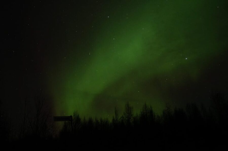 Rovaniemi: 97.3% Success Rate Aurora Group Tour with Photos - Key points to know before you book
