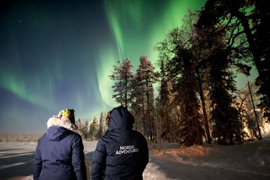 Rovaniemi: Arctic Ice Floating and Northern Lights Tour - How much value does $146 provide?