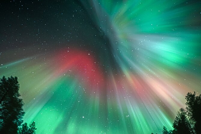 Rovaniemi: Aurora Activity Guarantee - 97% Success Rate Tour - Photos, drinks, and thermal clothing