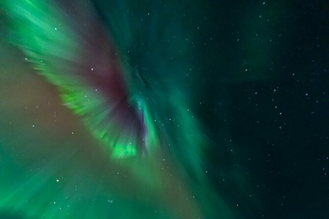 Rovaniemi: Aurora Activity Guarantee - 97% Success Rate Tour - The real value of $93.58