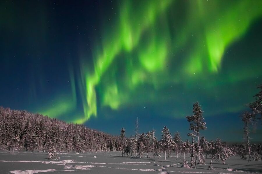 Rovaniemi: Aurora Borealis and Picnic - Who will enjoy this Rovaniemi evening most?