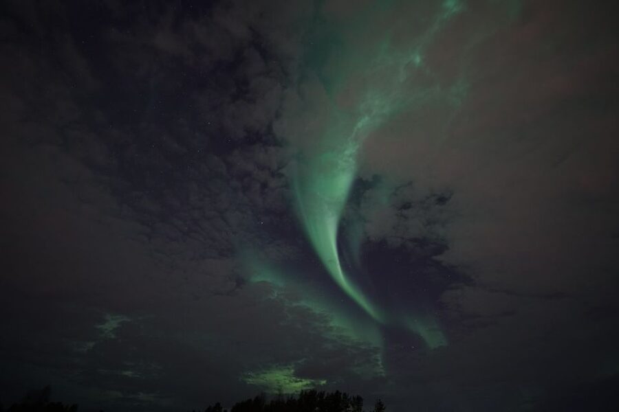 Rovaniemi: Aurora Borealis Tour - Photography advice for phones and cameras