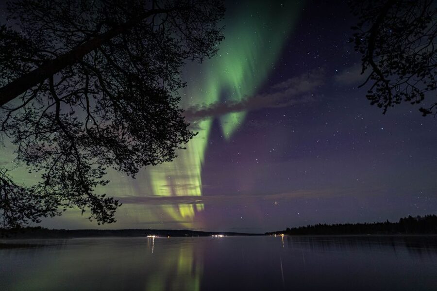 Rovaniemi: Aurora Borealis Tour - Price, timing, and what the $135 covers
