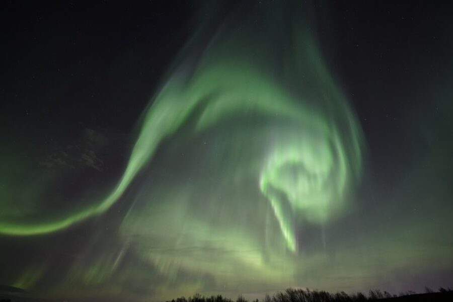 Rovaniemi: Aurora Borealis Tour - Clothing matters more than the camera