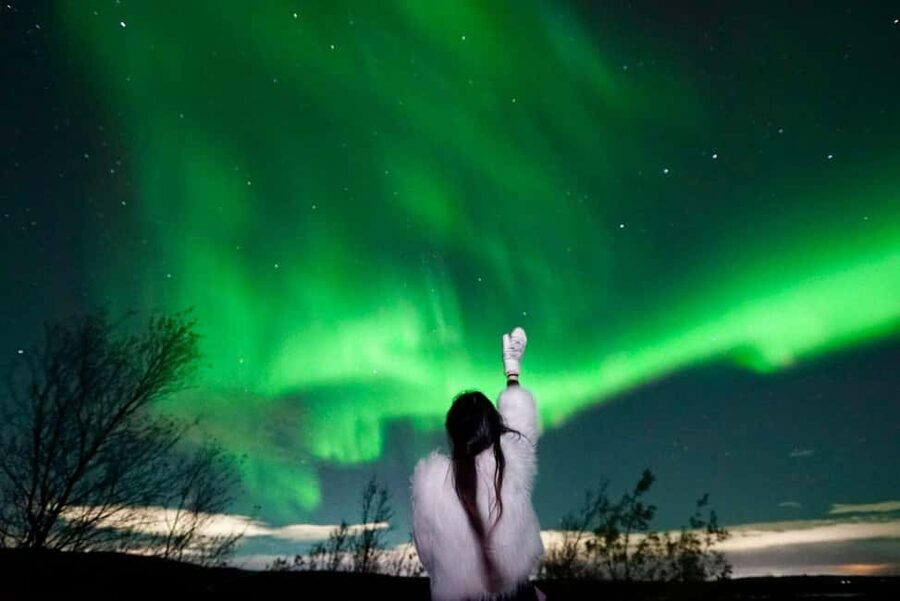 Rovaniemi Aurora Fire & Flavour — Arctic Gastronomy Tour - Walking through the forest with Lapland stories