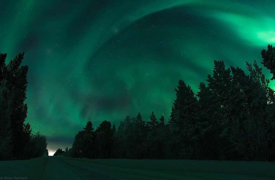 Rovaniemi Aurora Fire & Flavour — Arctic Gastronomy Tour - Pickup from Rovaniemi and the first dark-sky stop