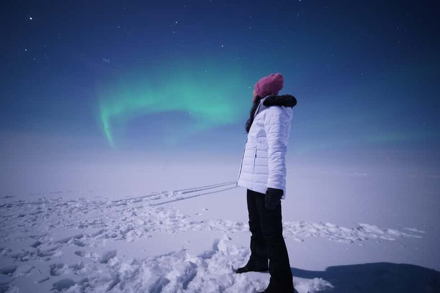 Rovaniemi: Aurora Hunt - Free Photos, 100% Guaranteed Refund - Final verdict: book it with realistic expectations