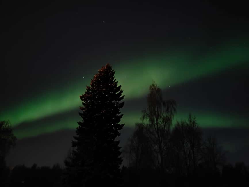 Rovaniemi: Aurora Hunt Snowshoeing Adventure with Guide - From Rovaniemi to the quiet woods of Ounasvaara