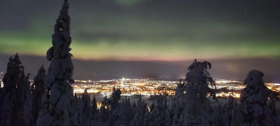 Rovaniemi: Aurora Hunt Snowshoeing Adventure with Guide - Walking beneath snow-covered trees