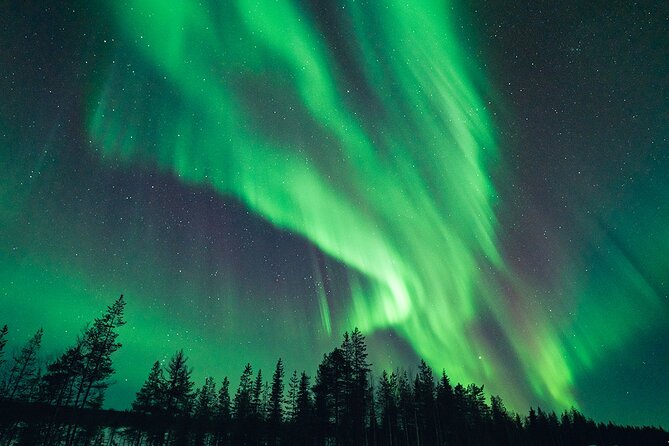 Rovaniemi: Aurora Hunt with Photograph & money back guarantee - Why this aurora hunt is different