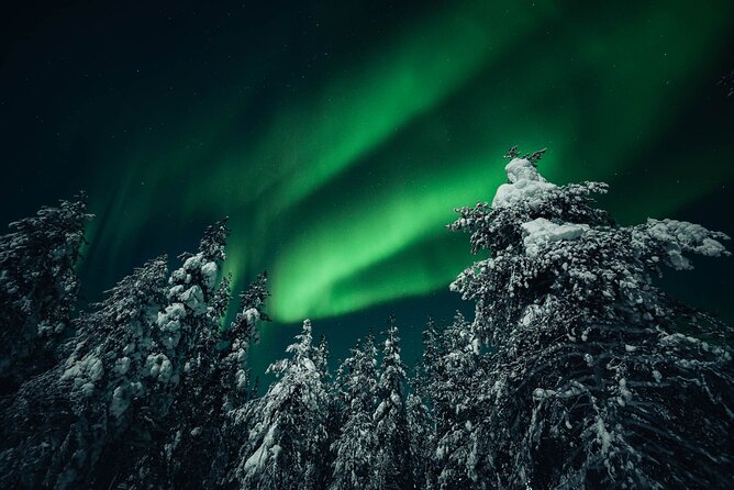 Rovaniemi: Aurora Hunt with Photograph & money back guarantee - Professional photos under the aurora