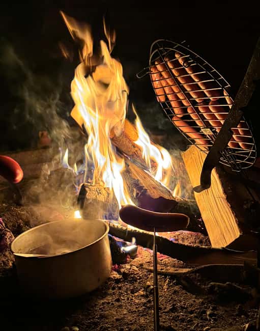 Rovaniemi: Aurora hunting and a fireside BBQ experience - Key points at a glance