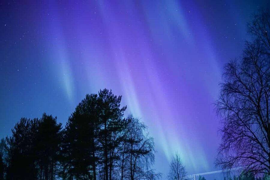 Rovaniemi: Aurora hunting and a fireside BBQ experience - Practical tips for a better night