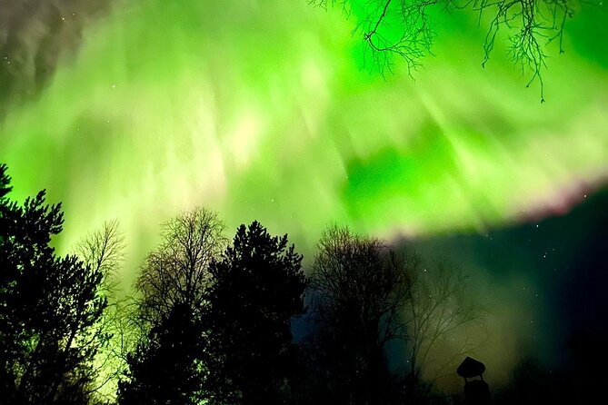 Rovaniemi: Aurora Hunting & Photography Tour - Guides make or break the night