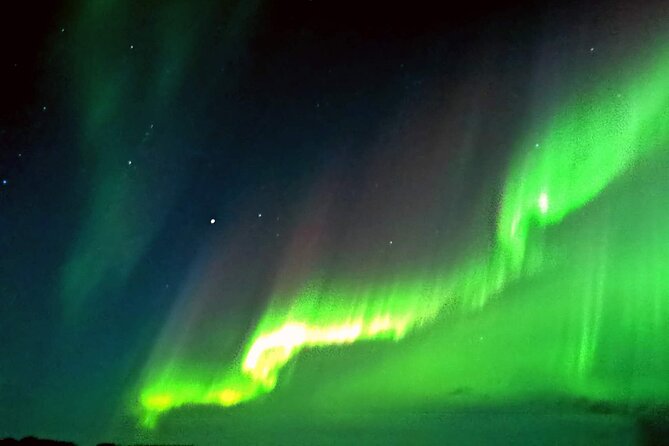 Rovaniemi: Aurora Hunting & Photography Tour - What the $200.01 price really covers