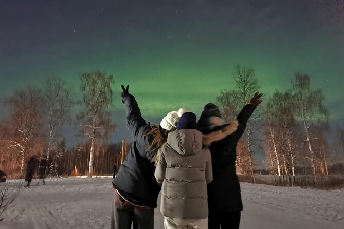 Rovaniemi: Aurora Hunting & Photography Tour - Practical tips for a better evening