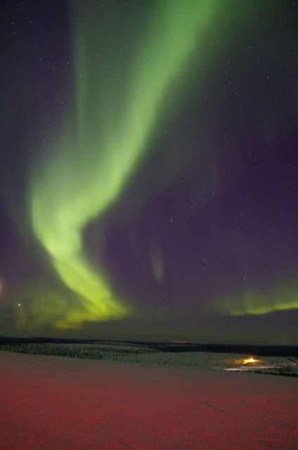 Rovaniemi: Aurora Hunting Photography Tour(98% Success Rate) - Key points before you book