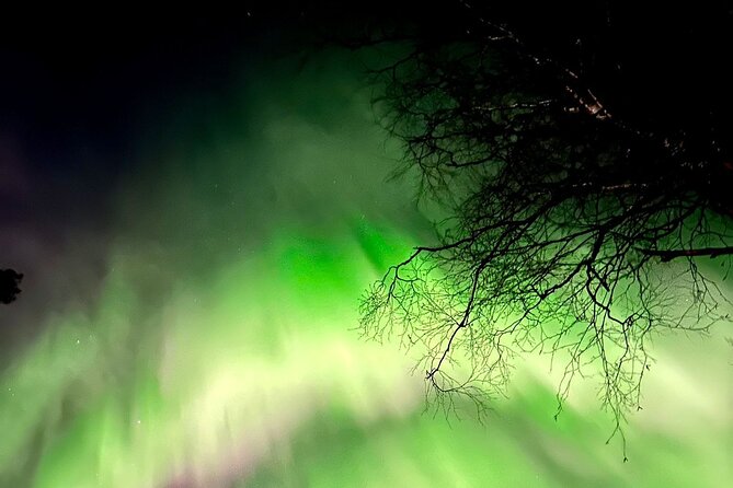 Rovaniemi: Aurora Hunting & Photography Tour - The photography help is a major advantage