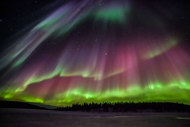 Rovaniemi Aurora Hunting Tour - A small-group approach to the Arctic night