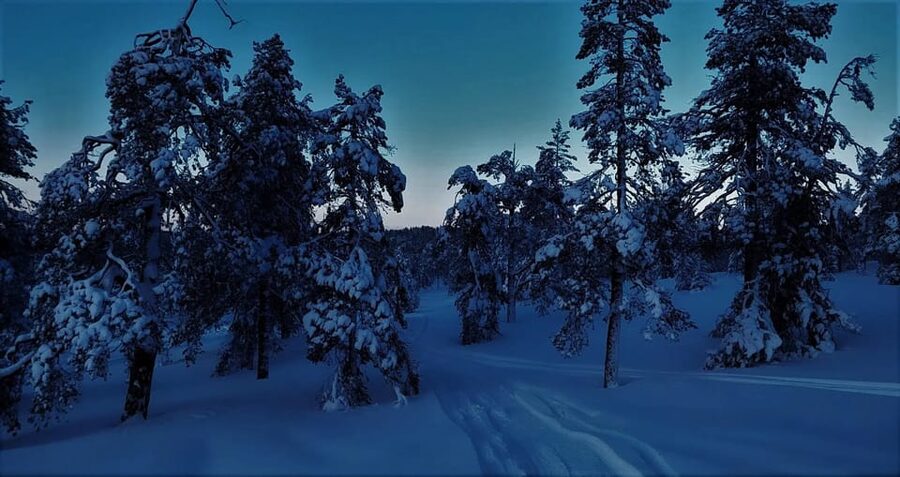 Rovaniemi: Aurora Hunting Tour in the Forest with Hot Drinks - Chasing the lights after dark in Rovaniemi