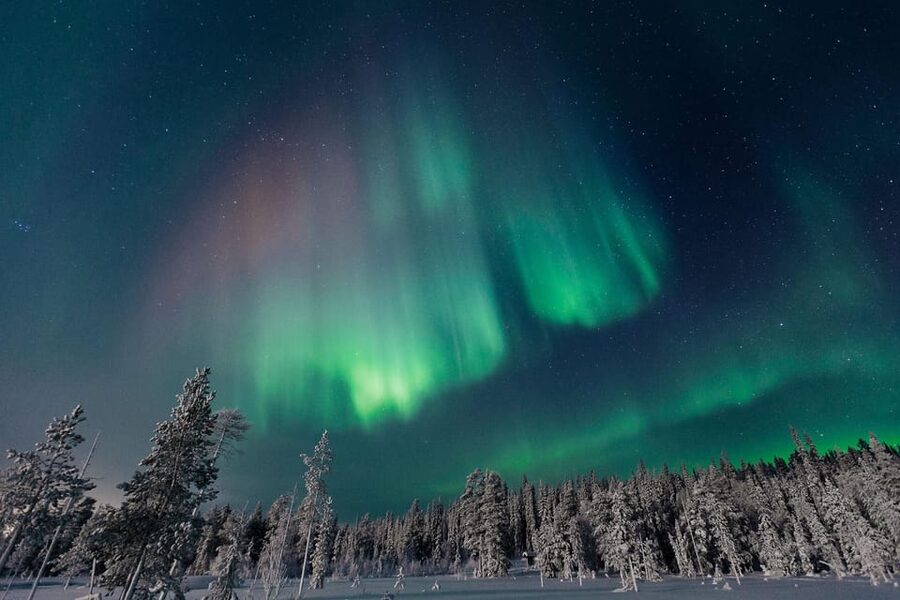 Rovaniemi: Aurora Hunting Tour in the Forest with Hot Drinks - The forest fire is more than a warm-up