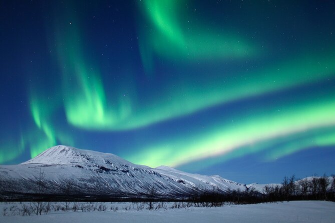 Rovaniemi Aurora Hunting Tour - Driving beyond Rovaniemi for darker skies