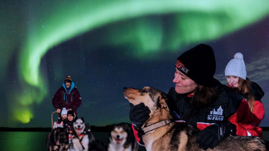 Rovaniemi: Aurora Husky Safari Through the Forest - What matters most before you book