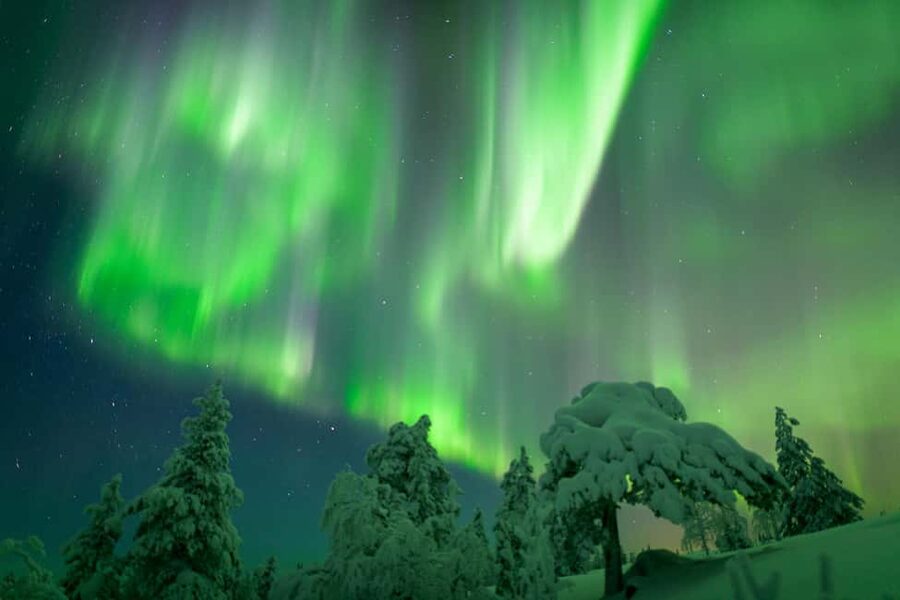 Rovaniemi: Auroras Northern Lights Trip - guaranteed lights - Key points at a glance