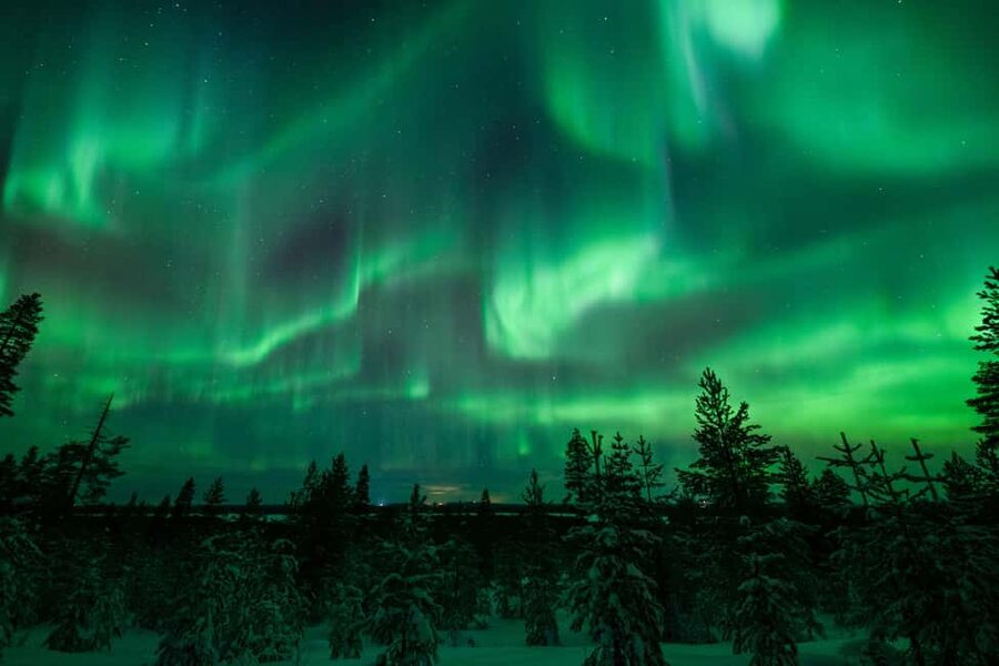 Rovaniemi: Best & Original Aurora Experience with Pro Photos - Guide quality matters more than the vehicle