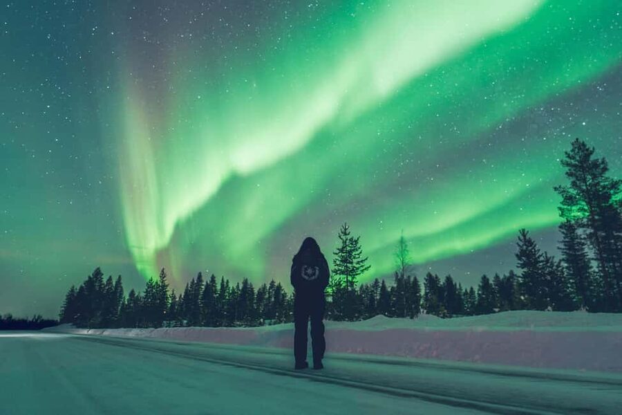 Rovaniemi: Best & Original Aurora Experience with Pro Photos - Timing, cold, and who should book