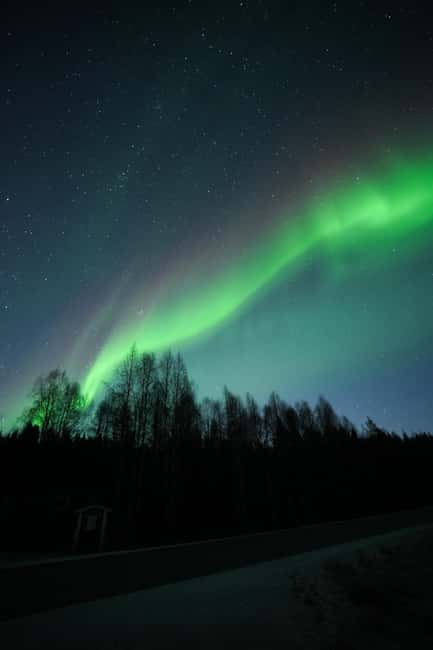 Rovaniemi: Coffee under Northern Lights & Professional Photo - The language and comfort details that matter