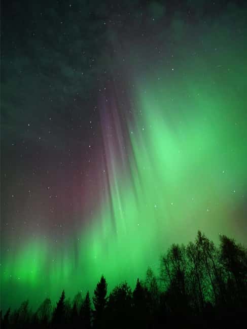 Rovaniemi: Family-Friendly Northern Lights Tour - Photography help under Arctic conditions