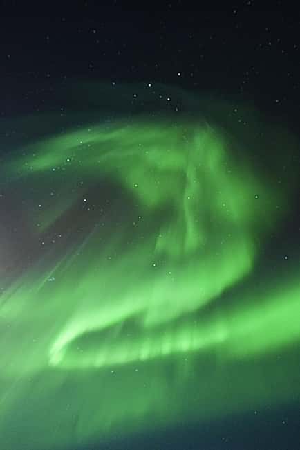 Rovaniemi: Family-Friendly Northern Lights Tour - Who should choose this tour?