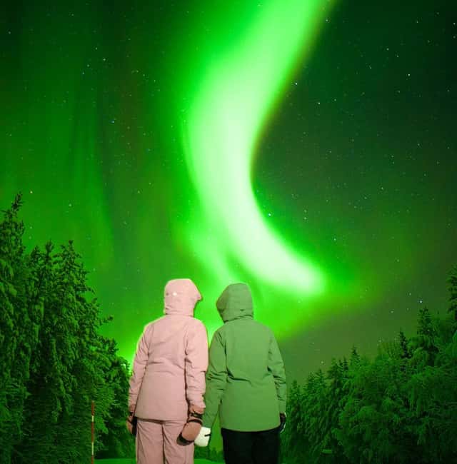 Rovaniemi: Guaranteed Aurora Borealis Photography Tour - Professional Aurora Photos Included