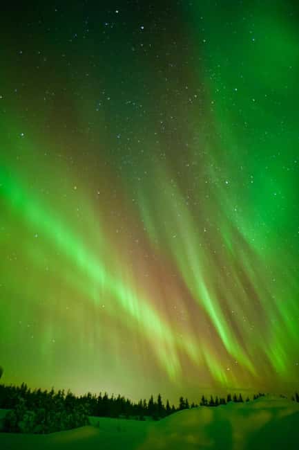 Rovaniemi: Guaranteed Aurora Borealis Photography Tour - Small Groups Versus a Private Tour