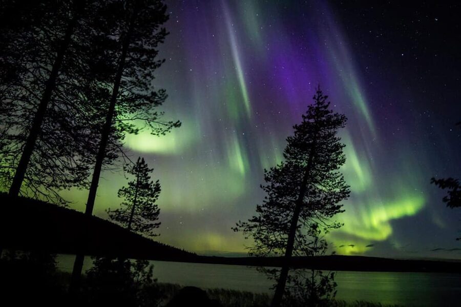 Rovaniemi: Guaranteed Aurora Hunting Tour with Local Guide - Practical preparation for the night