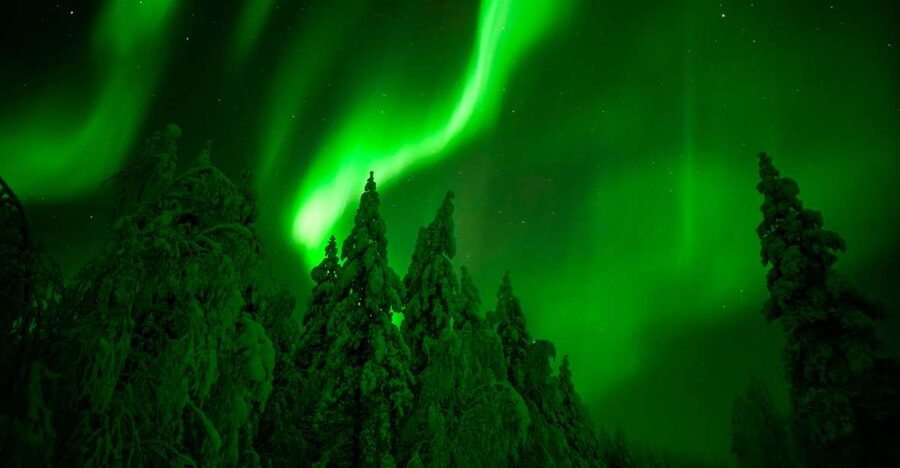 Rovaniemi: Guaranteed Northern Lights Hunting Adventure - Key points before you book