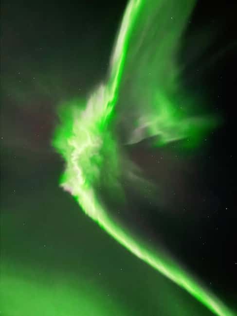 Rovaniemi: Guaranteed Northern Lights & Photography Tour - Who will enjoy this most