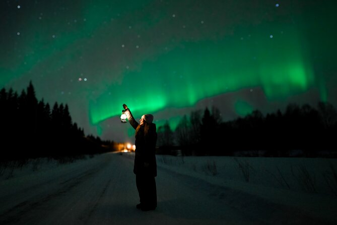 Rovaniemi: Guaranteed Northern Lights - Small Group & Photography - Riding with no more than eight people