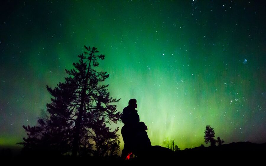 Rovaniemi: Guided Northern Lights Tour - Leaving Rovaniemi for darker skies