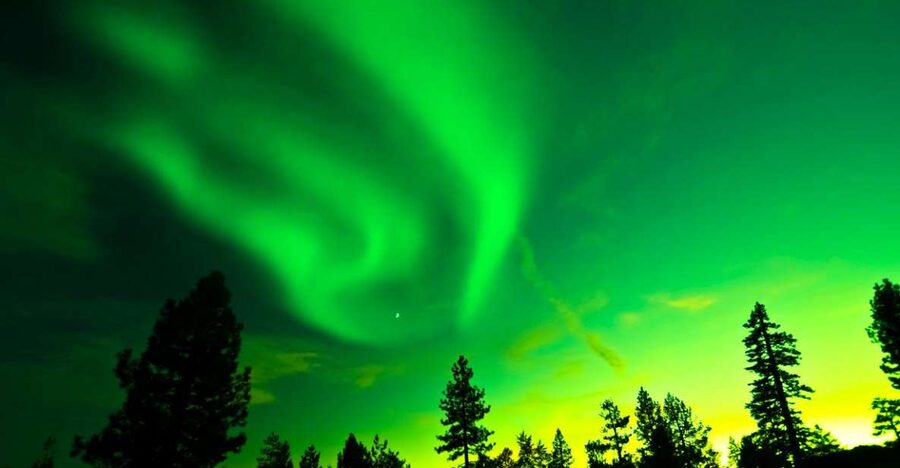 Rovaniemi: Guided Northern Lights Tour - The English-speaking guides make the difference