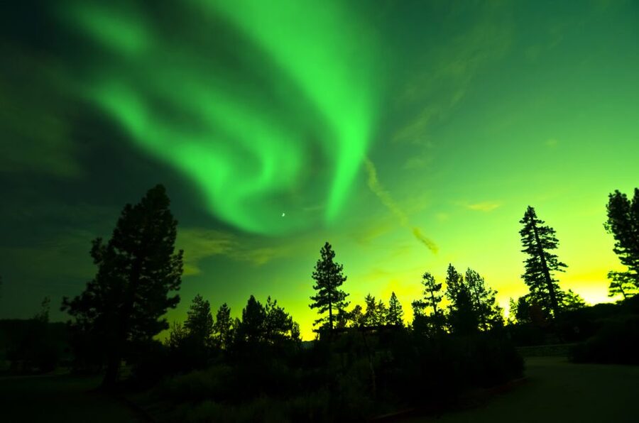 Rovaniemi: Guided Northern Lights Tour - Price and value at $84