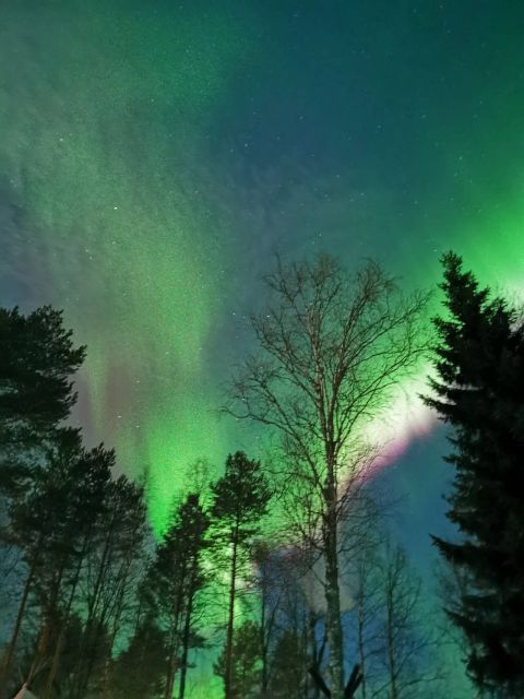 Rovaniemi Hunting Aurora at the Best Spots - Staying warm during the wait